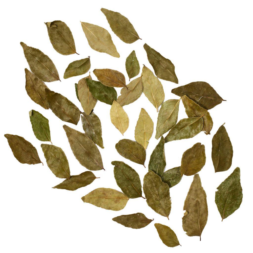 Mitakawani Curry Leaf UJAMAA Spice Single Origin Zanzibar Spices