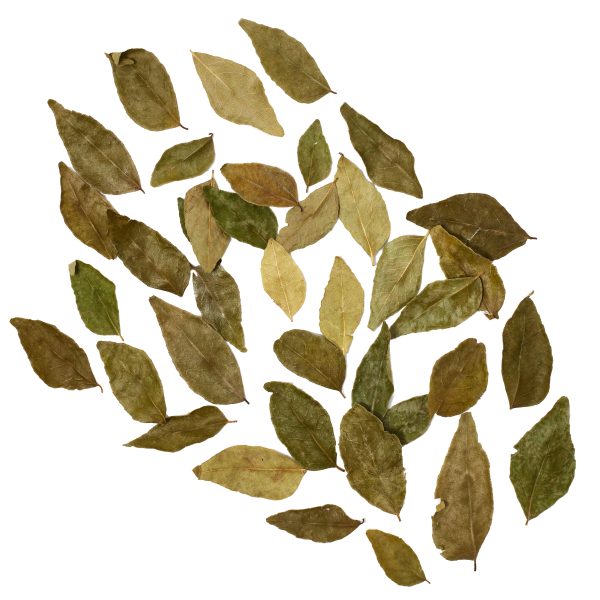 Mitakawani Curry Leaf -